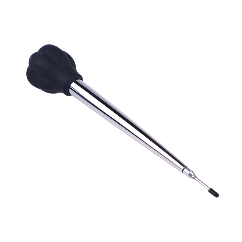 Stainless Steel Baster 18cm with Marinade Injector